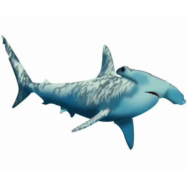 Hammerhead Shark | Wayfair